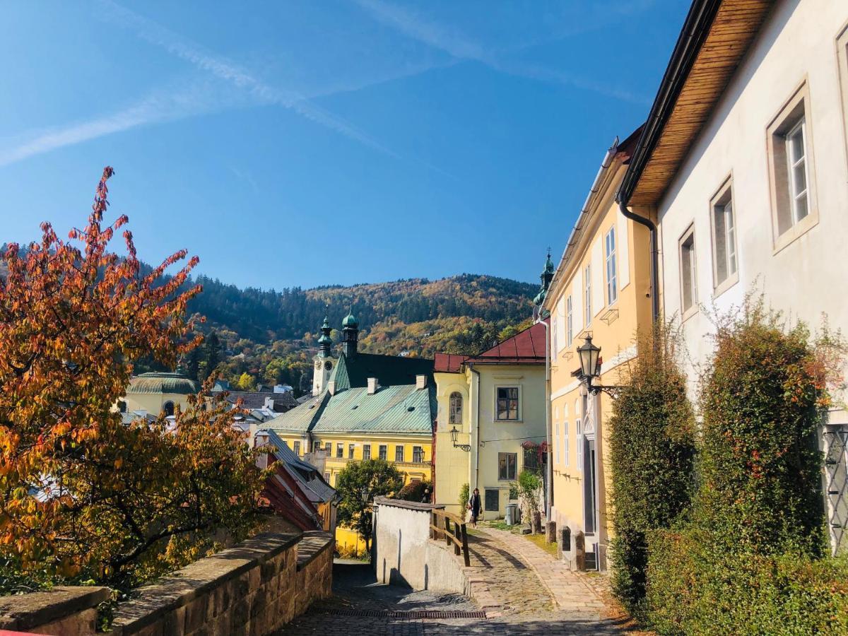 Libling Podkrovny Banská Štiavnica 外观 照片